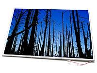 am uitat display lcd curb de la au optronics